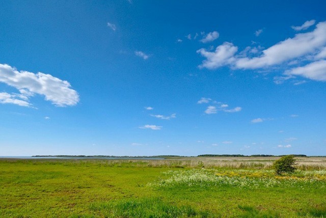 skjernaa
